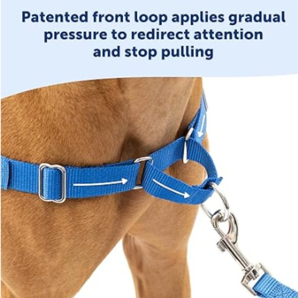 No-Pull Dog Harness - The Harness to Help Stop Pulling-Small PetSafe Easy Walk - Picture 6 of 7
